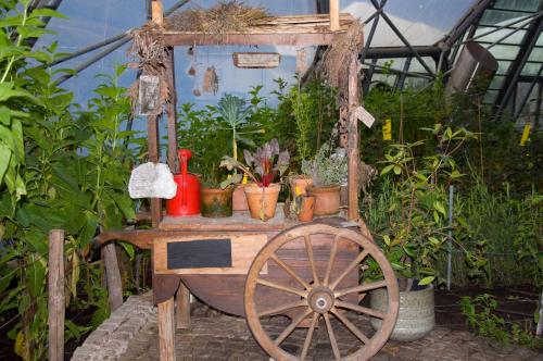 Plant-and-produce-display,-Eden-Project-Cornwall